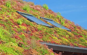 Holbeck Woodhouse living roof systems