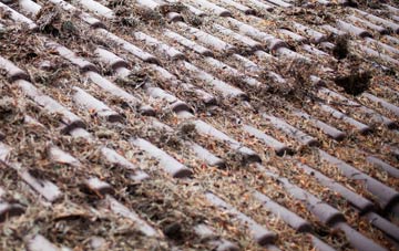 Holbeck Woodhouse roof cleaning companies